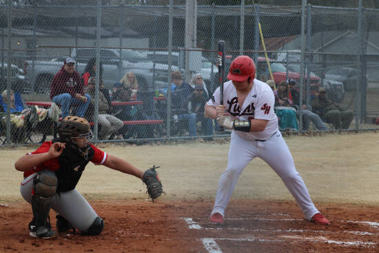 Lions baseball team dismantles Martinsville in doubleheader, Prep Sports