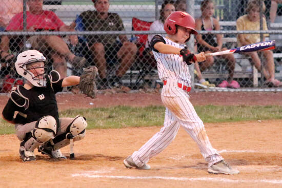 Mineral County Little League > Home